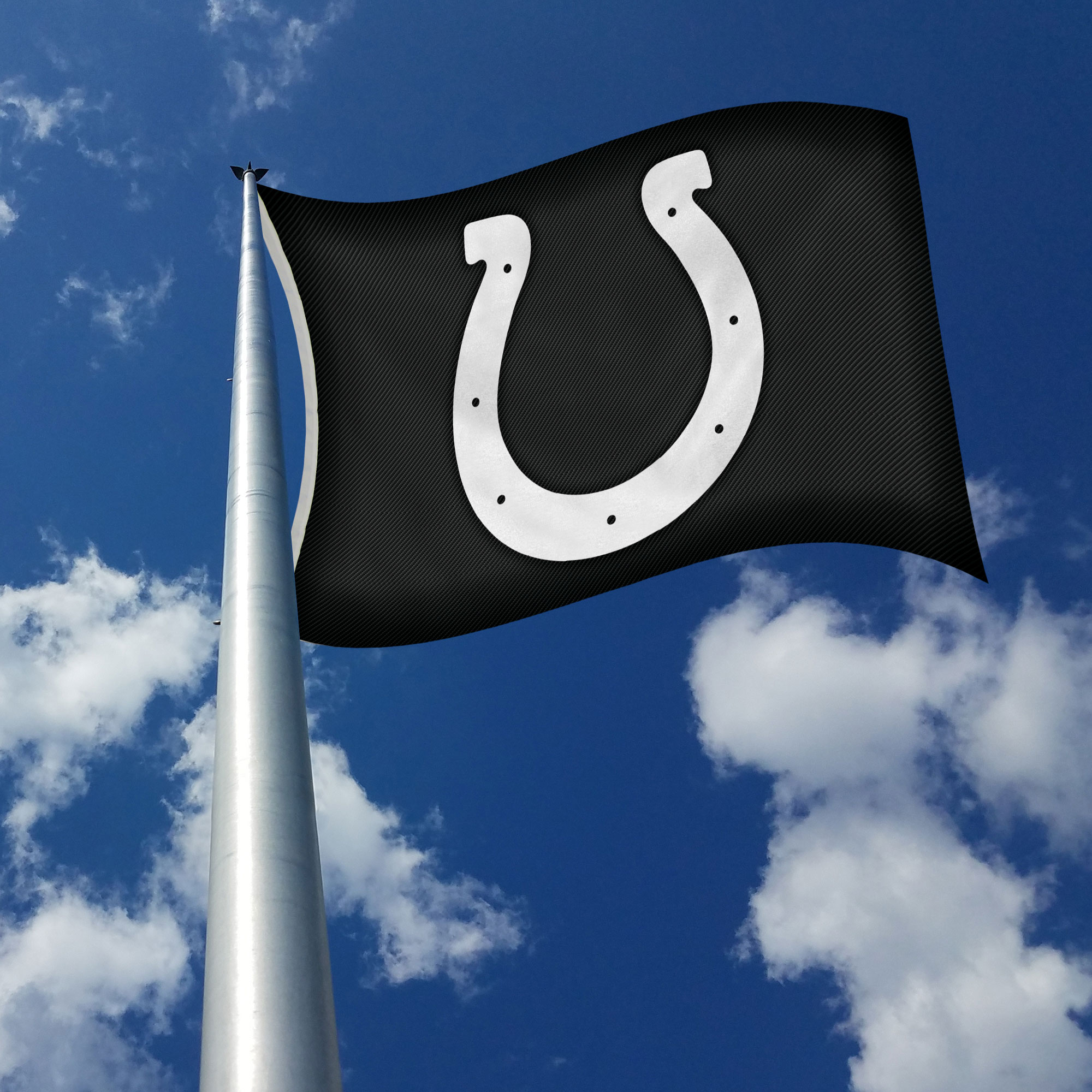 Rico Industries NFL Football Indianapolis Colts Carbon Fiber 3